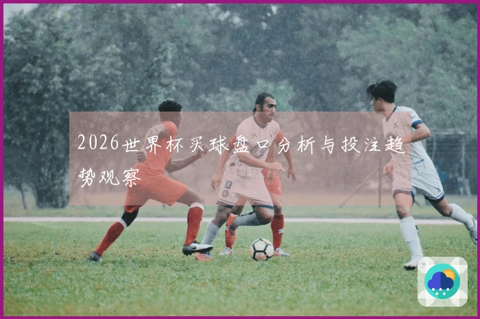 2026世界杯买球盘口分析与投注趋势观察