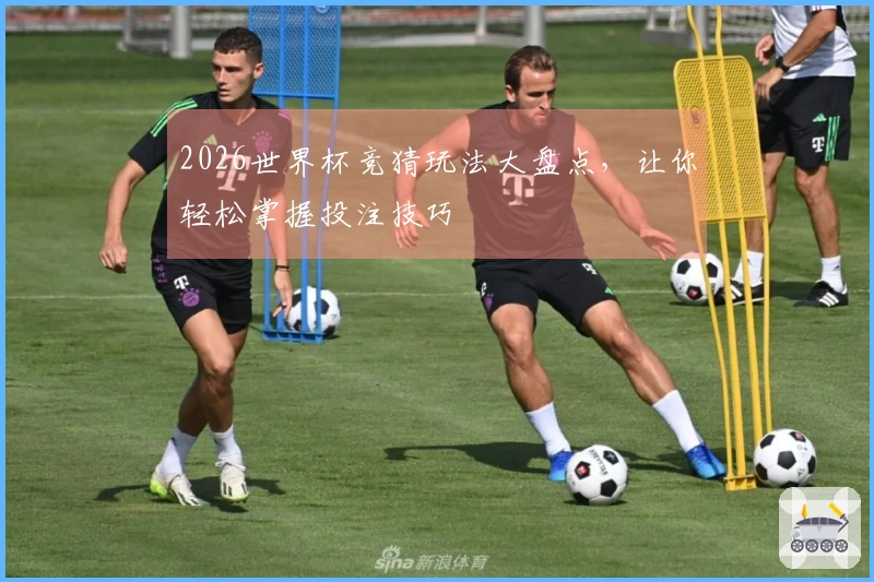2026世界杯竞猜玩法大盘点，让你轻松掌握投注技巧